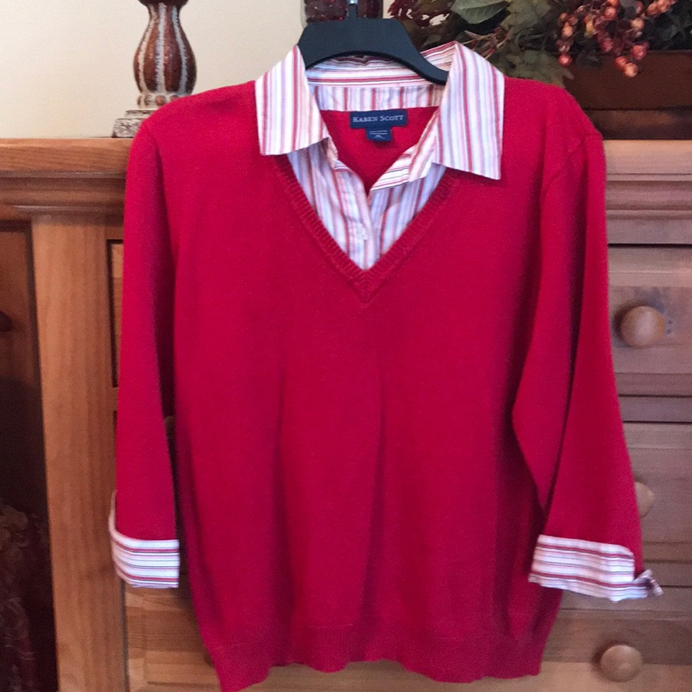 Karen Scott sweater